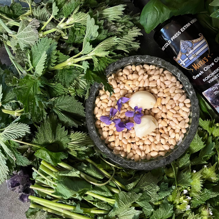 Spring Foraging Workshop